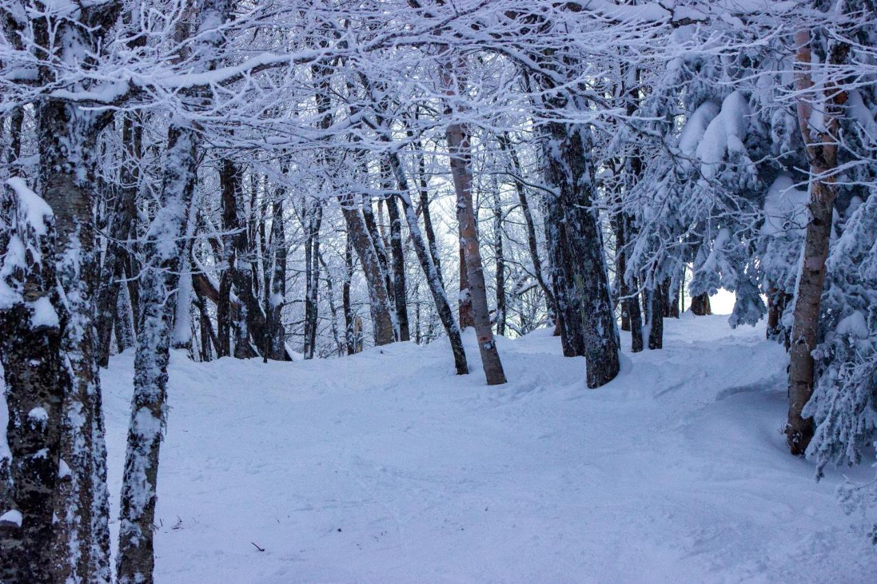 Cambridge Smugglers' Notch Resort Private Suites المظهر الخارجي الصورة