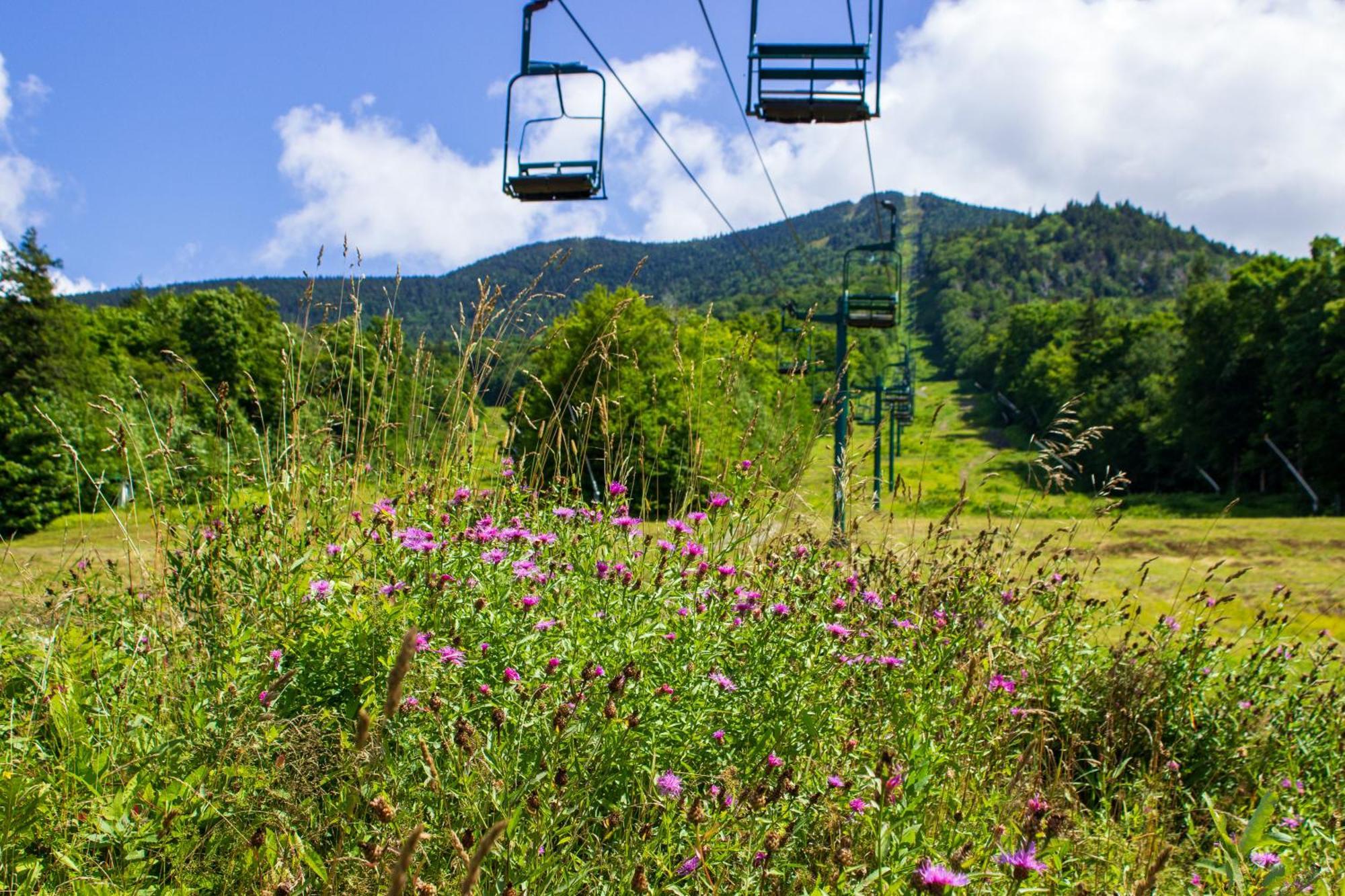 Cambridge Smugglers' Notch Resort Private Suites المظهر الخارجي الصورة